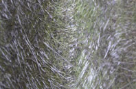 Broadlane fibreglass roof work