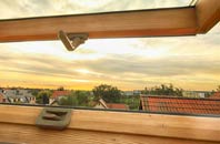 rated Broadlane roof window companies